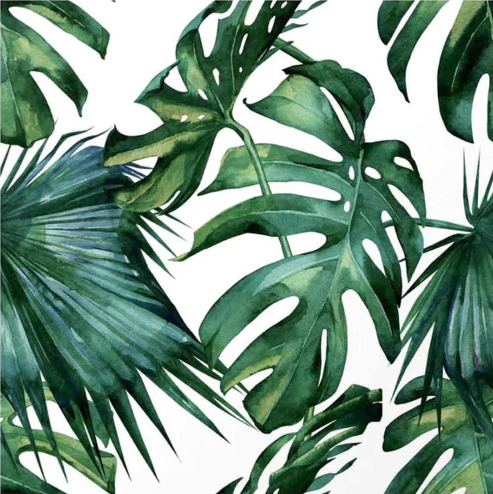 Лист арт. Пальмовые листья монстера. Листья пальмы для печати. Тропические листья на белом фоне. Тропические листья 4к.
