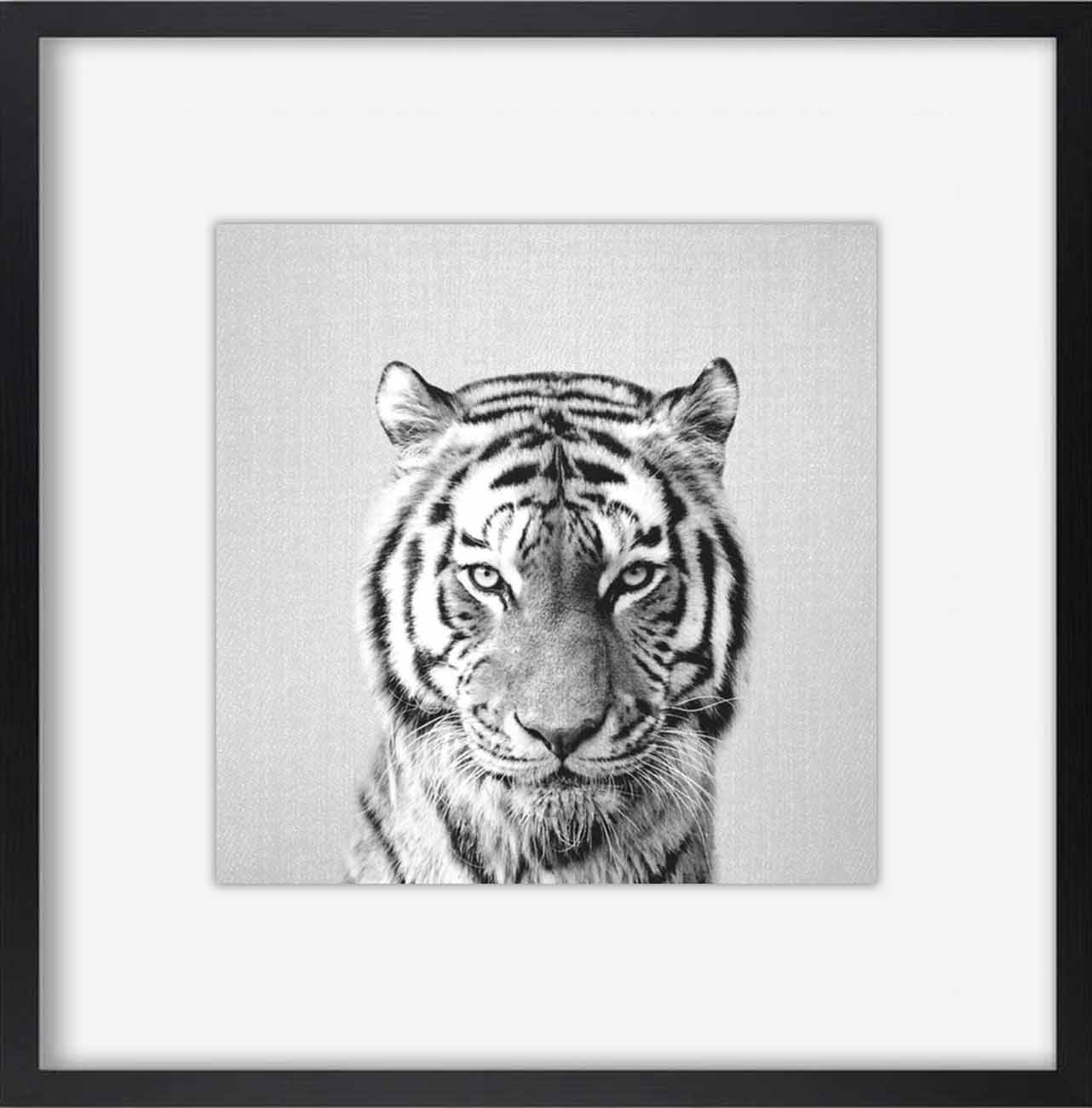 tiger-black-and-white 1