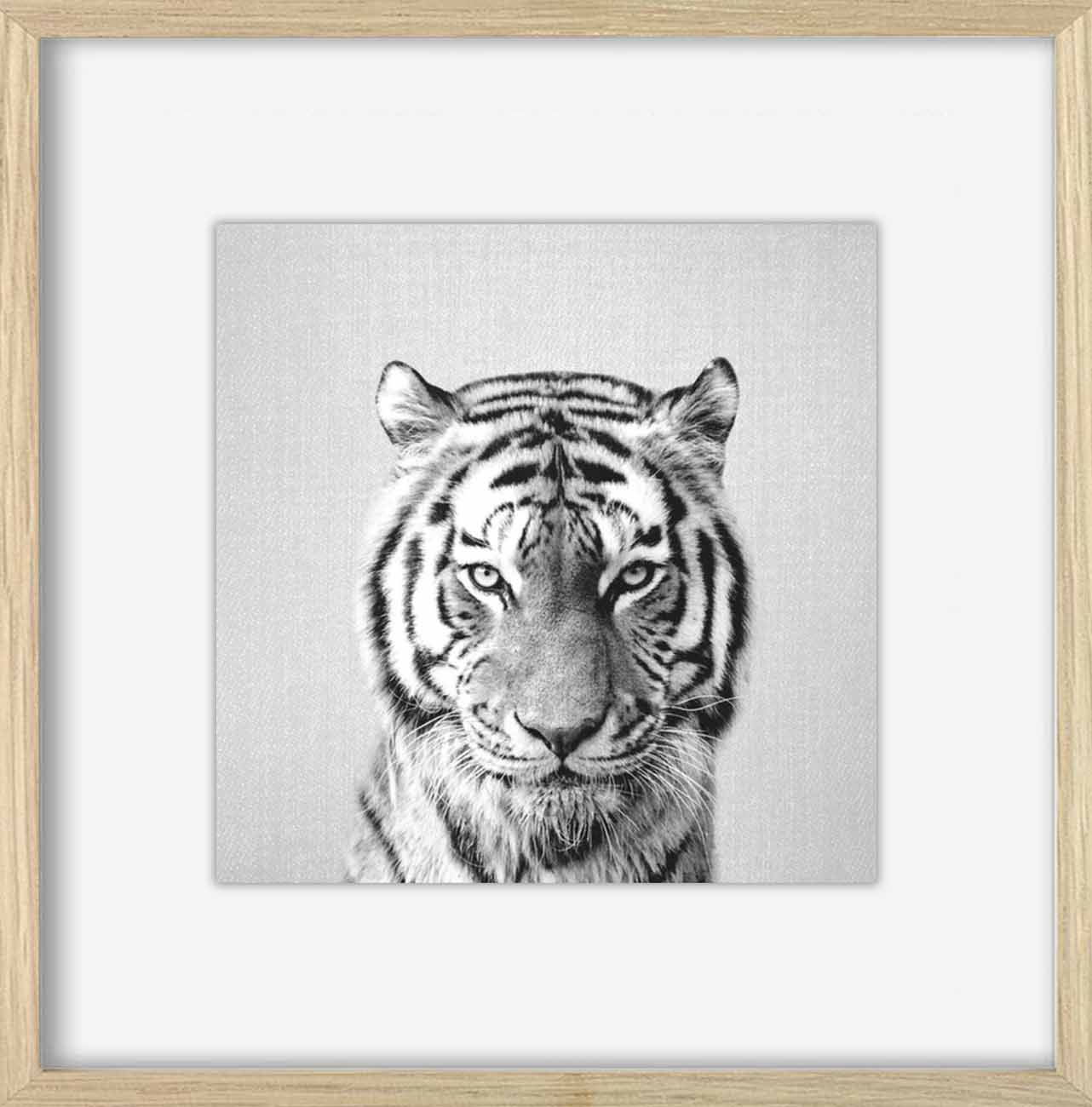 tiger-black-and-white 2