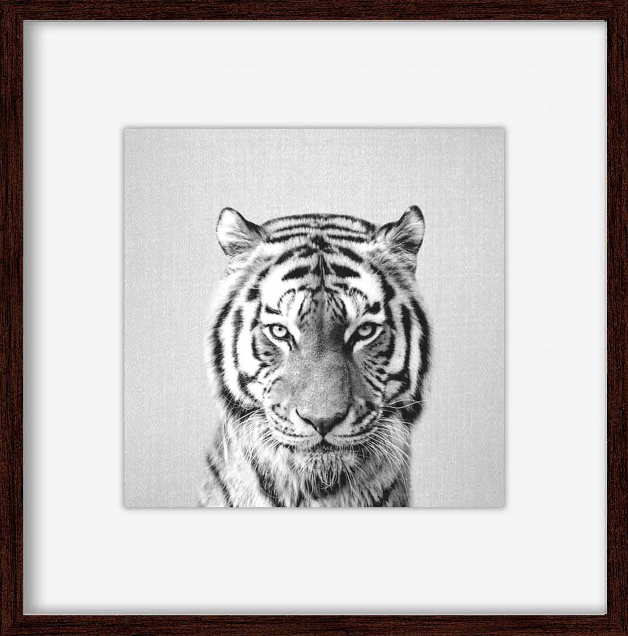 tiger-black-and-white 3